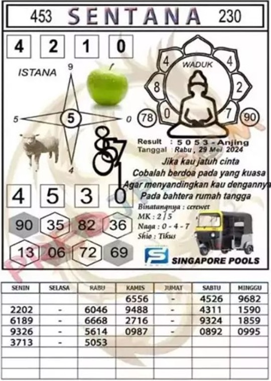 SYAIR SGP VIP